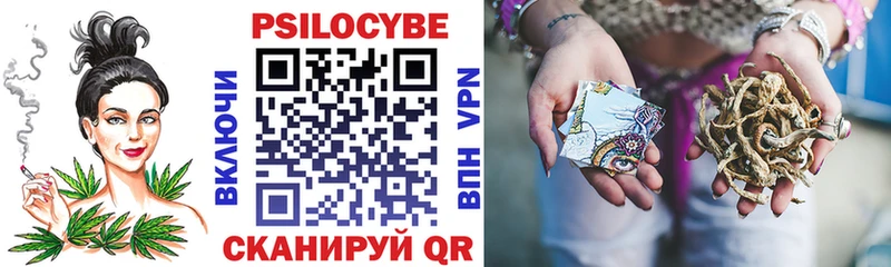 Псилоцибиновые грибы Psilocybine cubensis  Томмот 